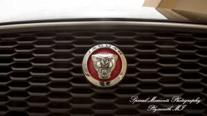 Livia & Clark at Grecian Center Southgate MI wedding photo