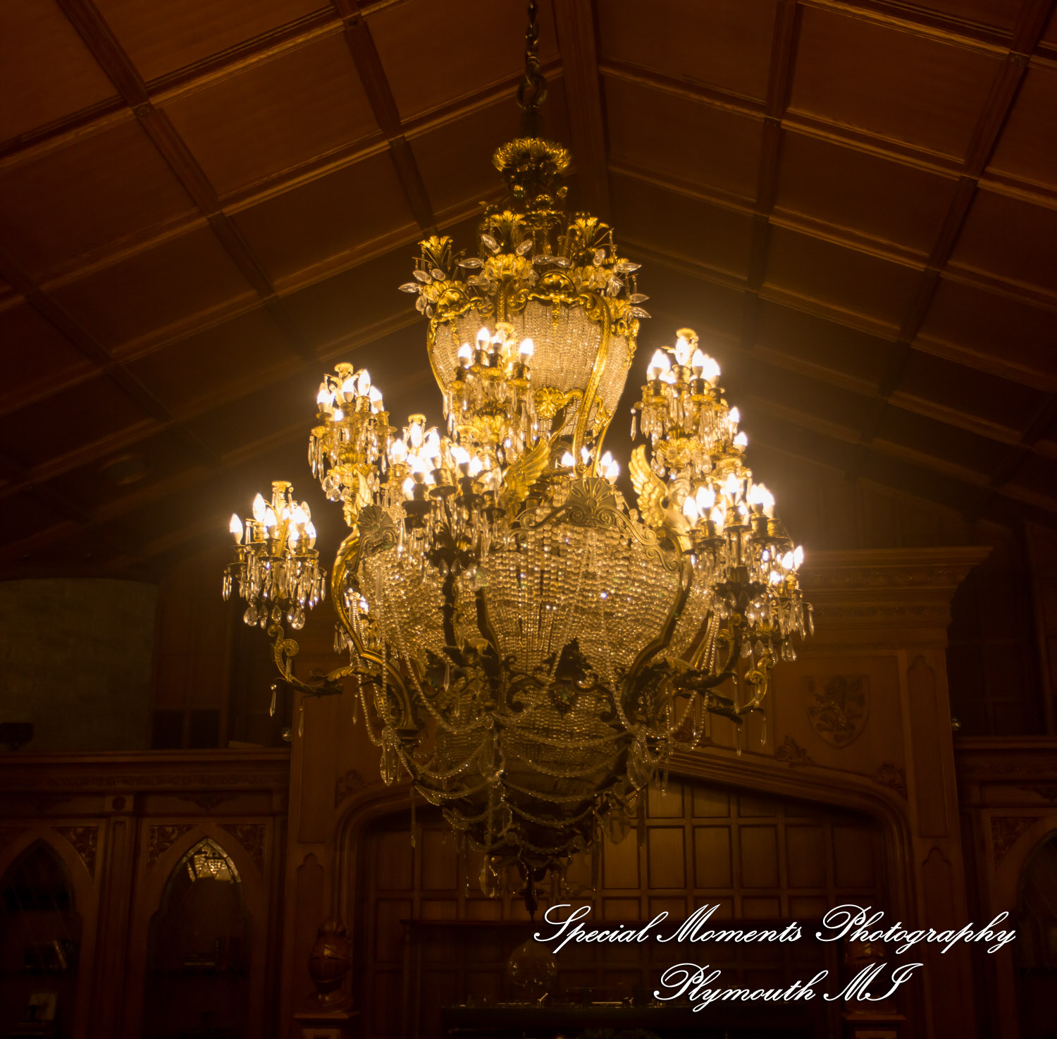 Sheryl & Jeffrey at Canterbury Castle Lake Orion MI wedding photography