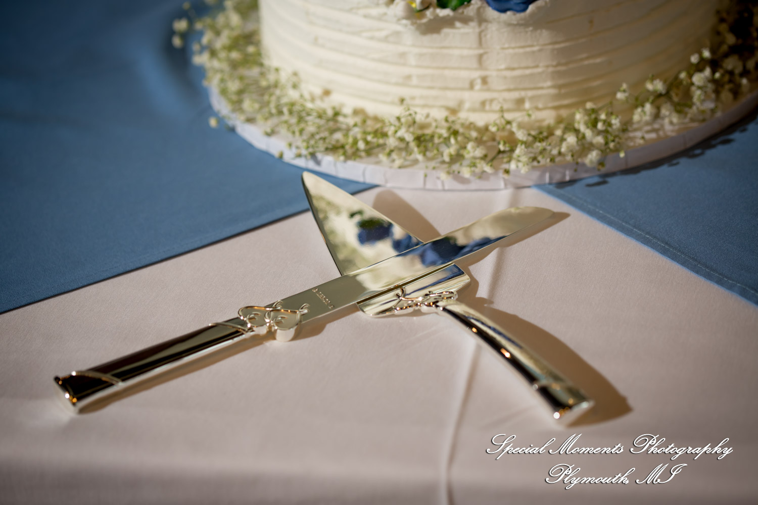 Karen & James at Andiamo Italian Livonia MI wedding photography