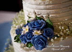 Karen & James at Andiamo Italian Livonia MI wedding photography