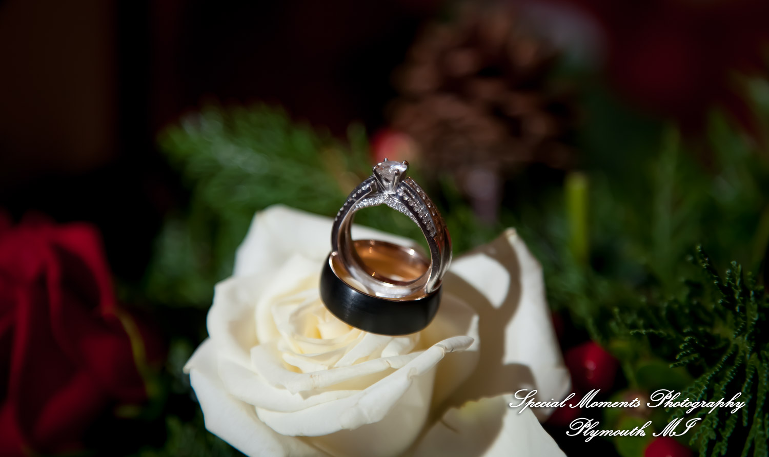 Rebecca & Trevor at Canterbury Castle Lake Orion MI wedding photograph