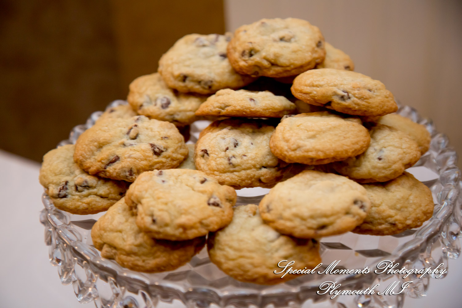 Livia & Clark at Grecian Center Southgate MI wedding photo