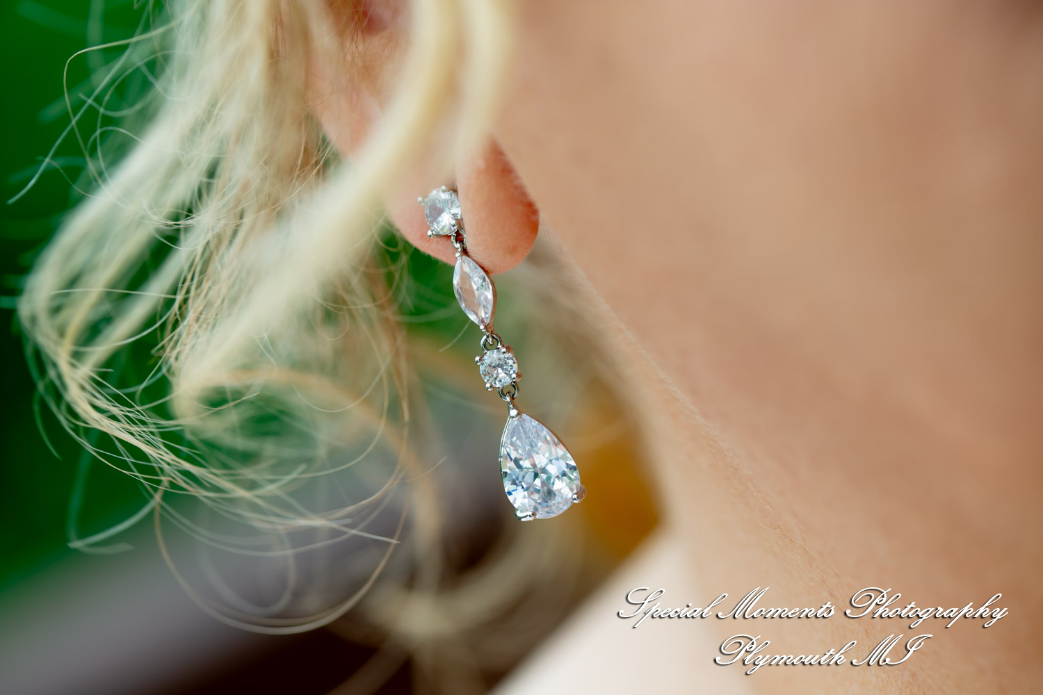 Darcy & Scott at Rochster Municipal Park Rochester MI wedding photo