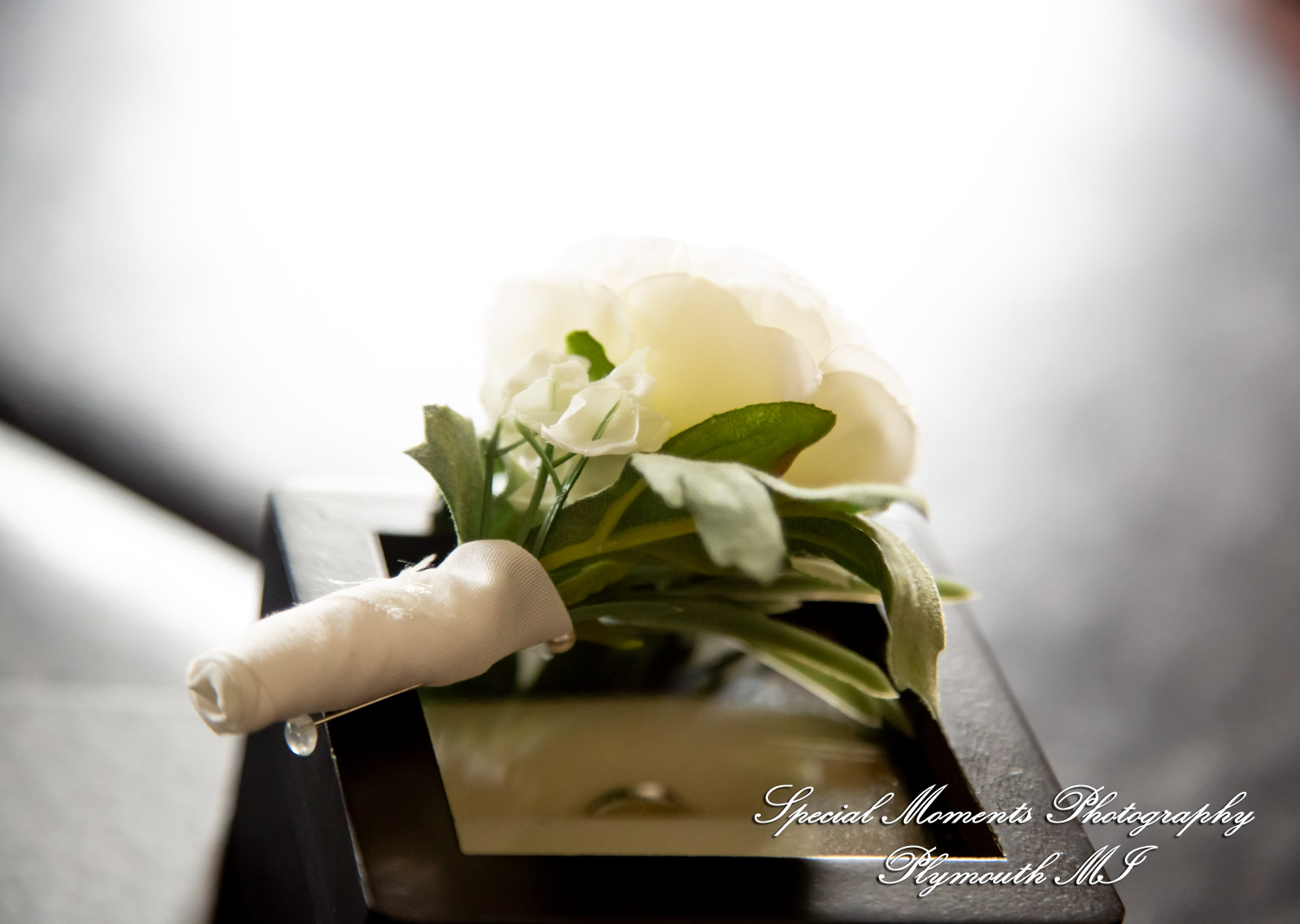 Samantha & David at Longacre House Farmington Hills MI wedding photograph