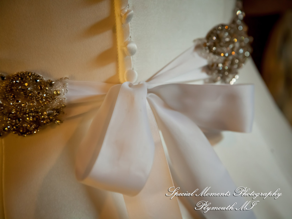 Lamar & Rachel at Strawberry Lake Lodge Pinckney MI wedding photograph