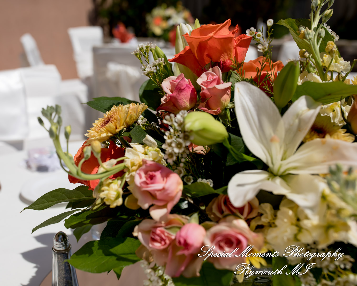 Belinda & Tony at Ann Arbor Marriott Ypsilanti at Eagle Crest Ypsilanti MI wedding photography