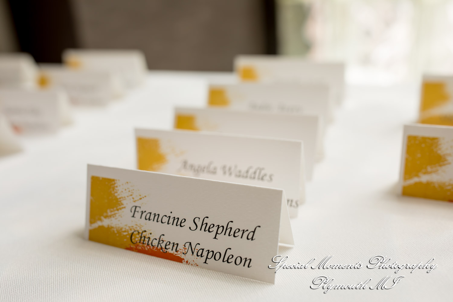 Belinda & Tony at Ann Arbor Marriott Ypsilanti at Eagle Crest Ypsilanti MI wedding photography