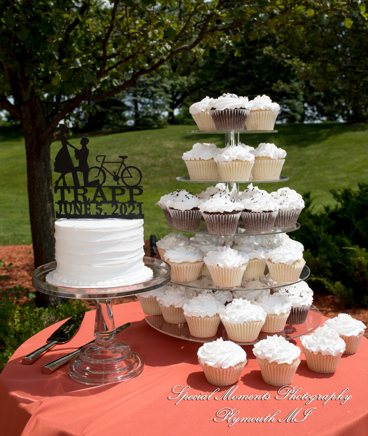 Belinda & Tony at Ann Arbor Marriott Ypsilanti at Eagle Crest Ypsilanti MI wedding photography