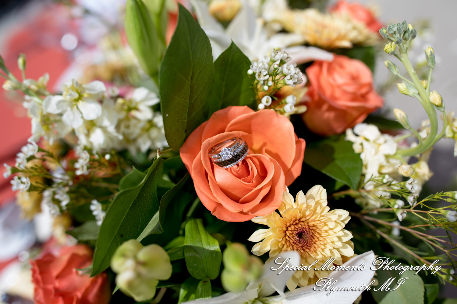 Belinda & Tony at Ann Arbor Marriott Ypsilanti at Eagle Crest Ypsilanti MI wedding photography