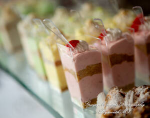 Samantha & David at Longacre House Farmington Hills MI wedding photograph