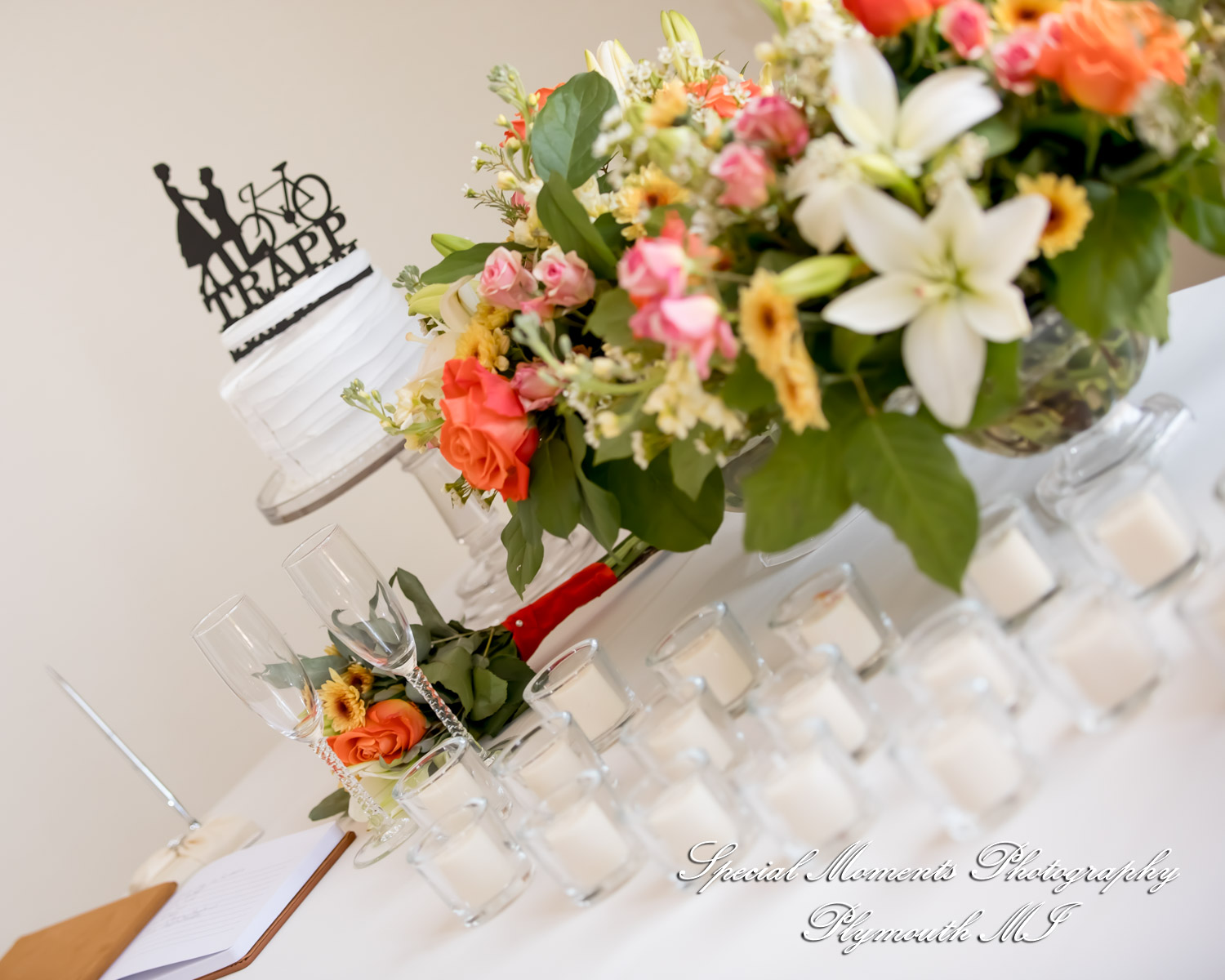 Belinda & Tony at Ann Arbor Marriott Ypsilanti at Eagle Crest Ypsilanti MI wedding photography
