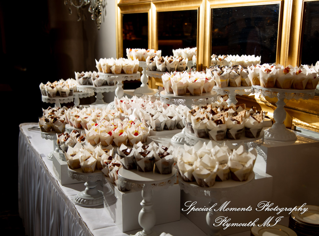 A Couple at Bentley Banquet Conference Center Wyandotte MI wedding photography