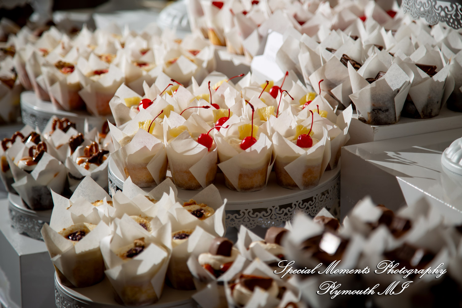 A Couple at Bentley Banquet Conference Center Wyandotte MI wedding photography