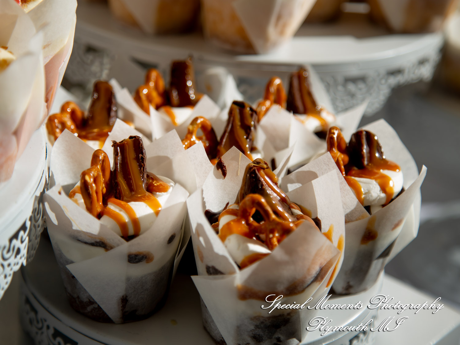 A Couple at Bentley Banquet Conference Center Wyandotte MI wedding photography