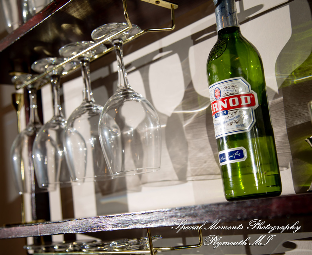 A Couple at Bentley Banquet Conference Center Wyandotte MI wedding photography