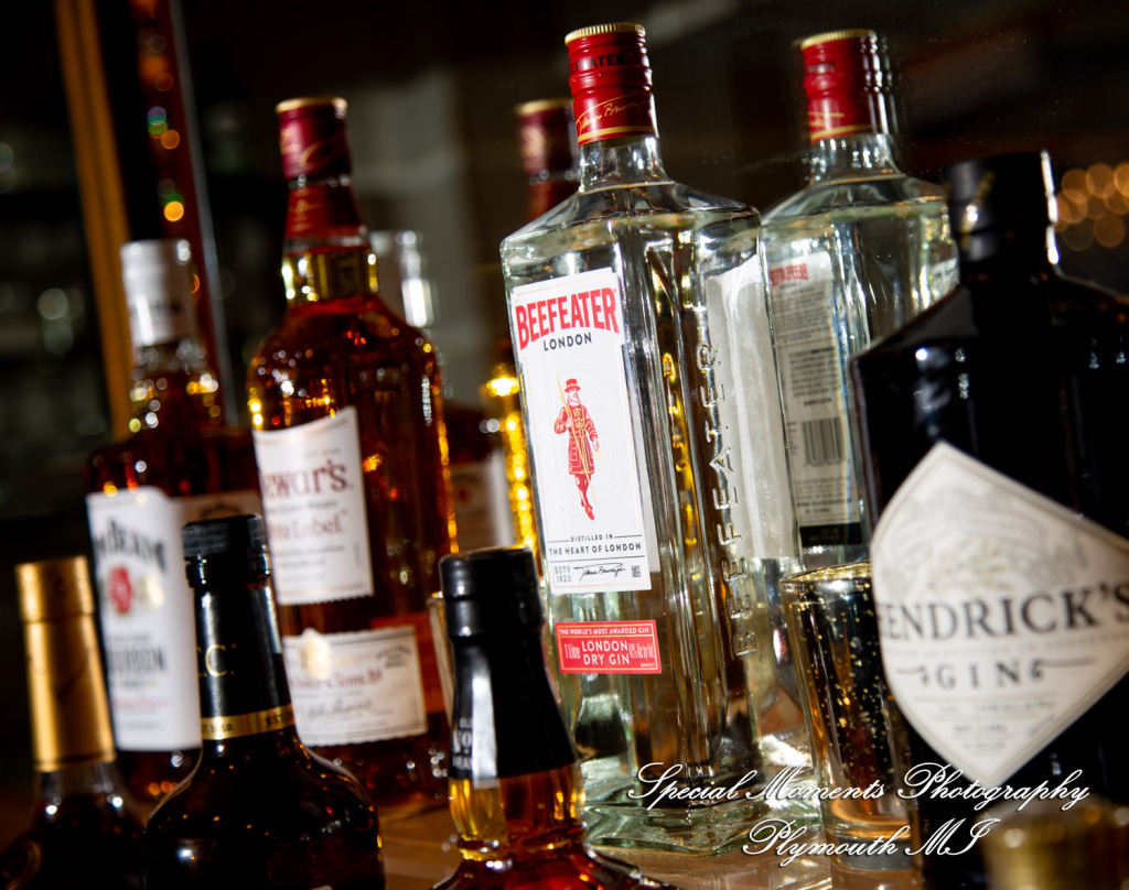 A Couple at Bentley Banquet Conference Center Wyandotte MI wedding photography