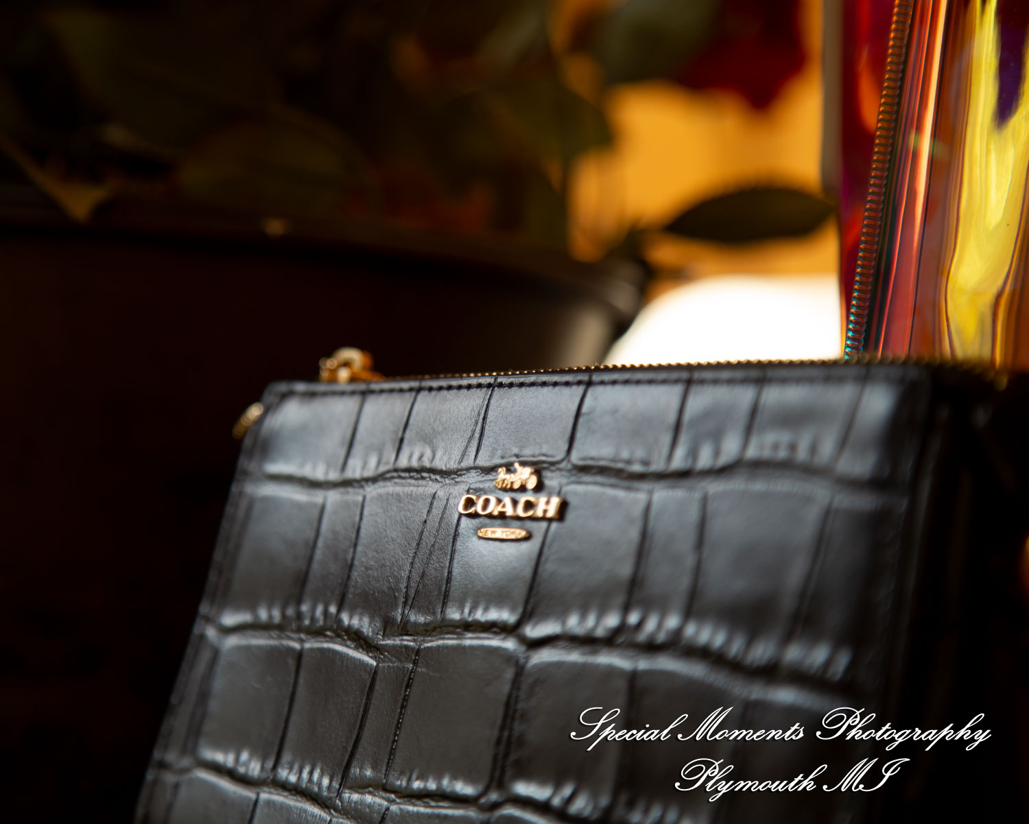 Chloe & Daniel at Wellers West Garden Saline MI wedding photography