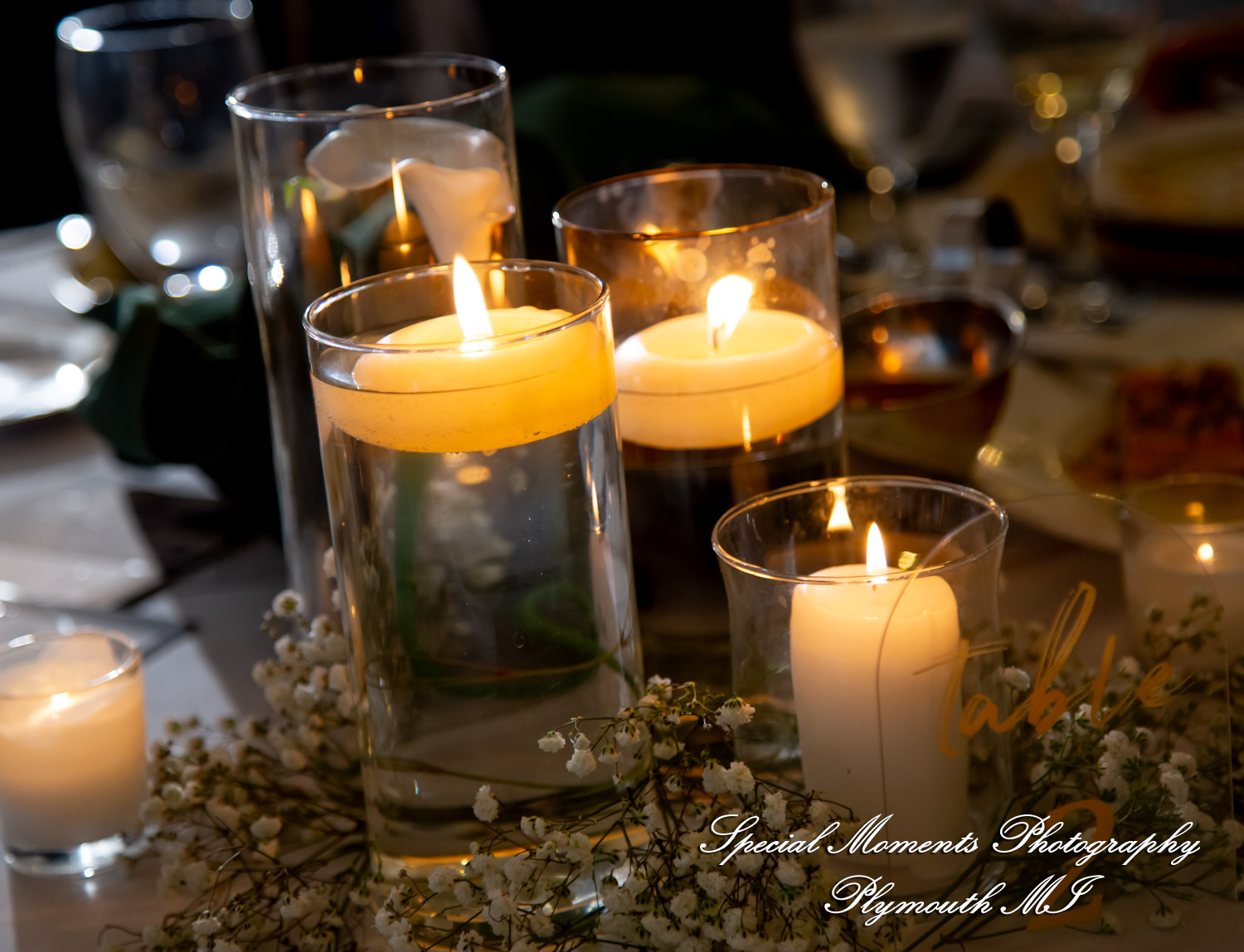 A Couple at Bentley Banquet Conference Center Wyandotte MI wedding photography