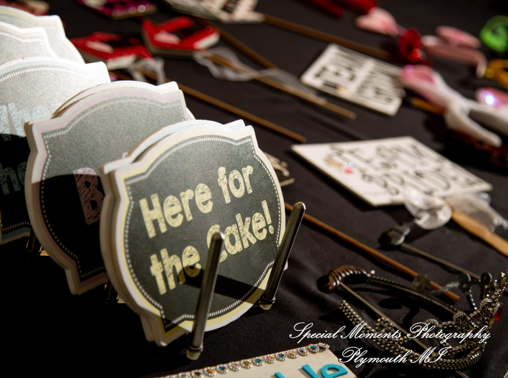 A Couple at Bentley Banquet Conference Center Wyandotte MI wedding photography