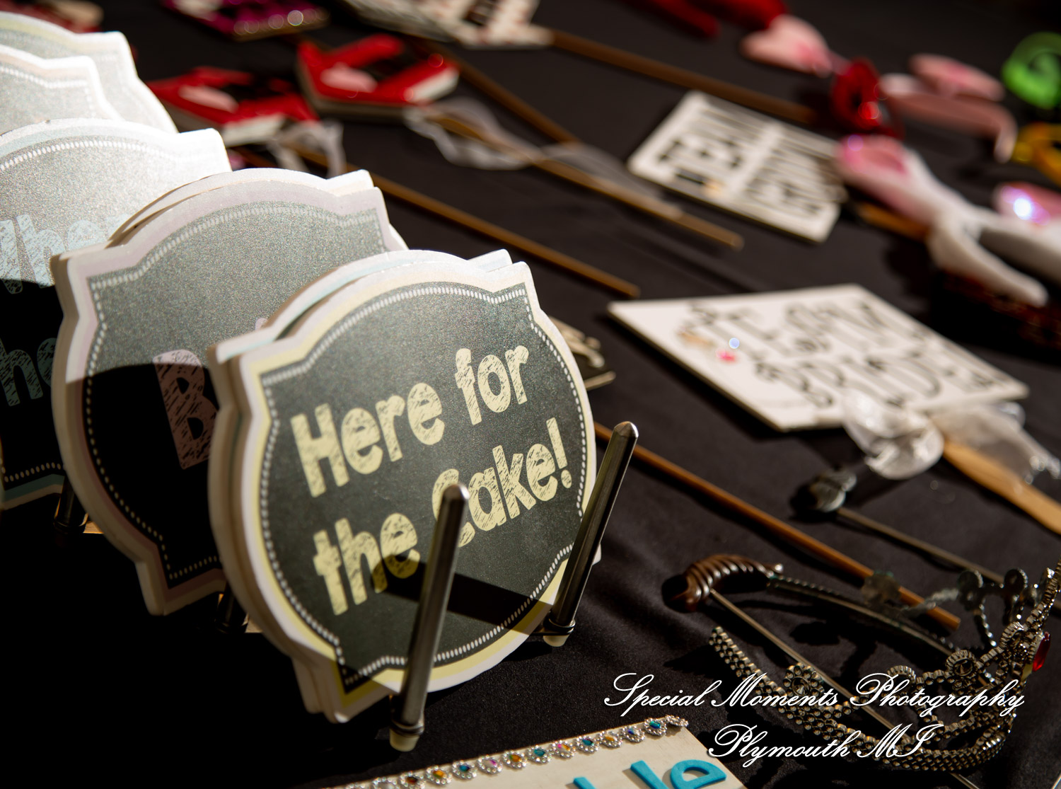 A Couple at Bentley Banquet Conference Center Wyandotte MI wedding photography