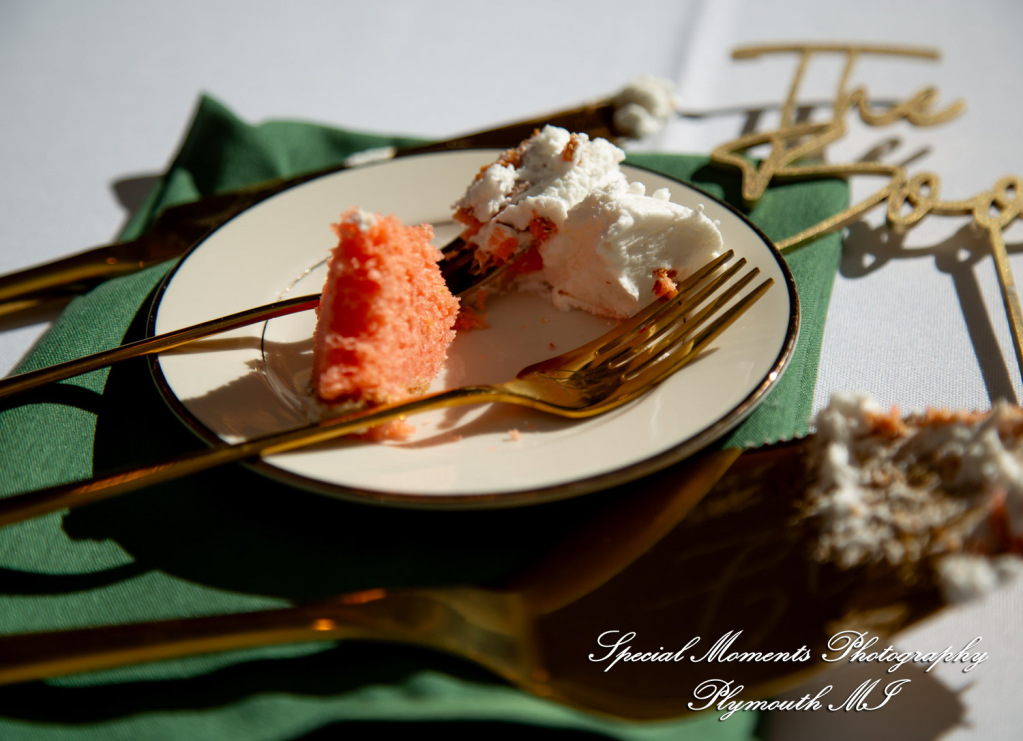 A Couple at Bentley Banquet Conference Center Wyandotte MI wedding photography