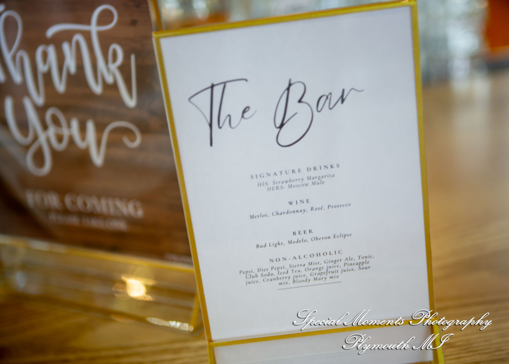 Chloe & Daniel at Wellers Carriage House Saline MI wedding photography