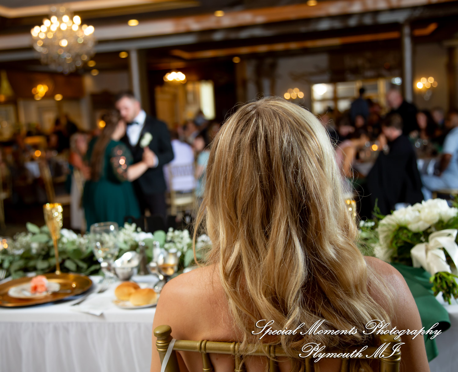 A Couple at Bentley Banquet Conference Center Wyandotte MI wedding photography