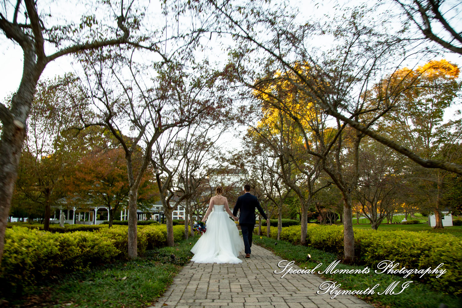Chloe & Daniel at Wellers Carriage House Saline MI wedding photography