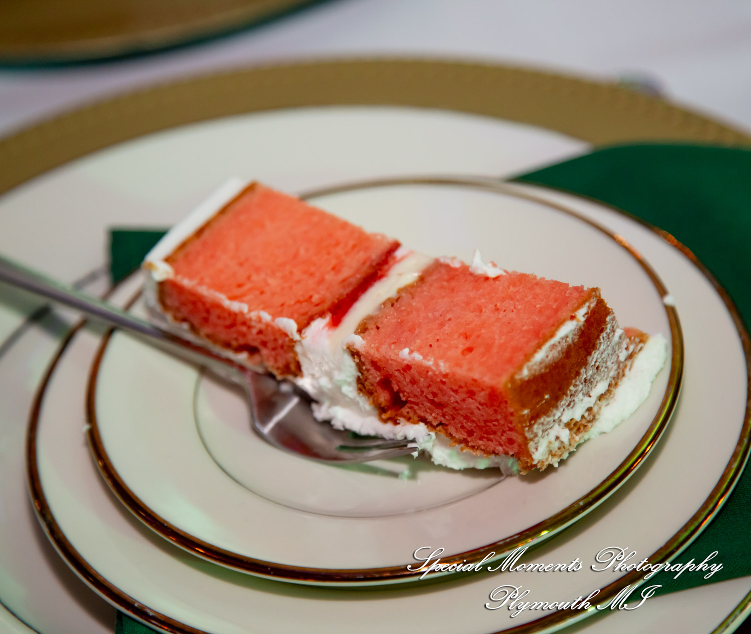 A Couple at Bentley Banquet Conference Center Wyandotte MI wedding photography