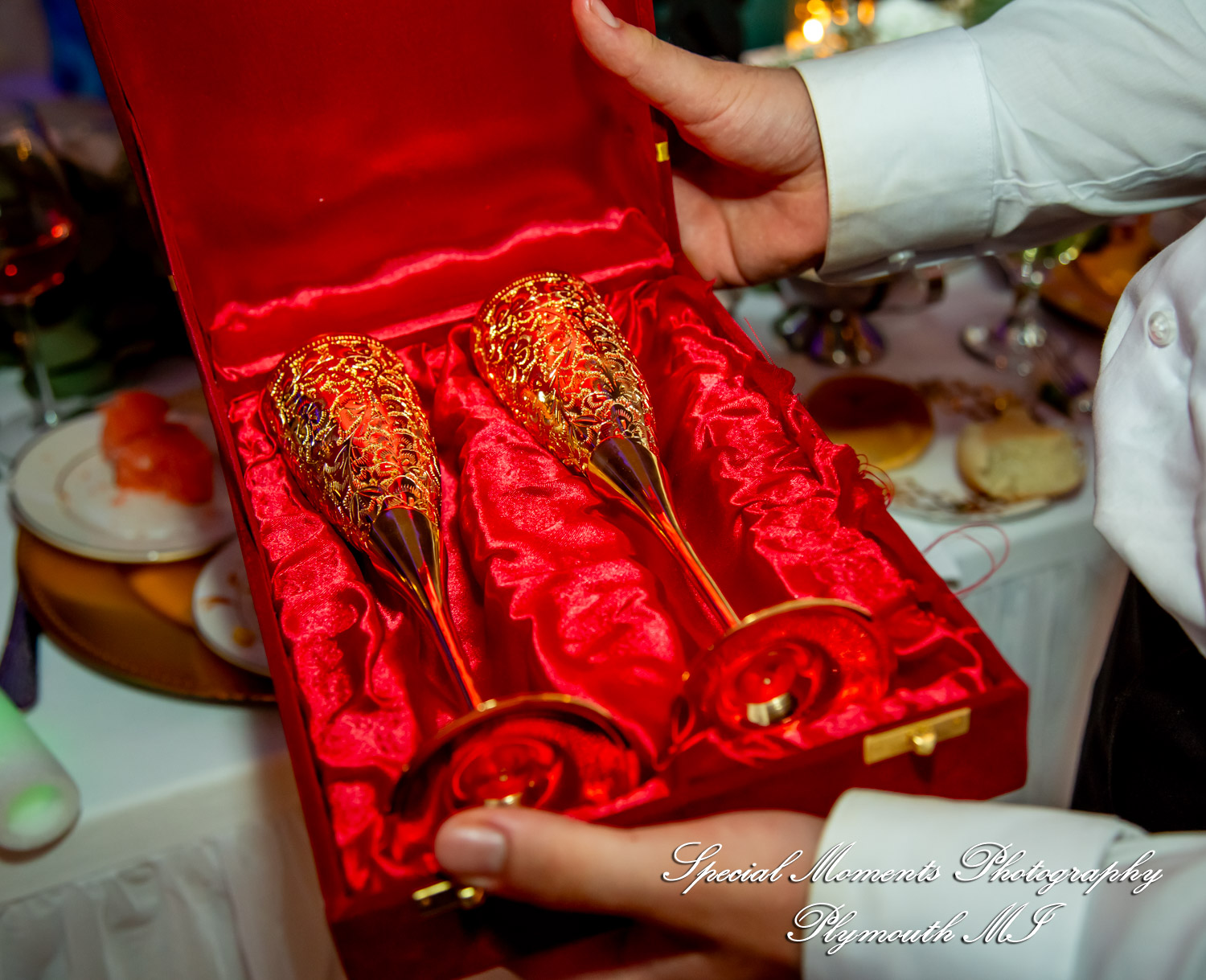 A Couple at Bentley Banquet Conference Center Wyandotte MI wedding photography