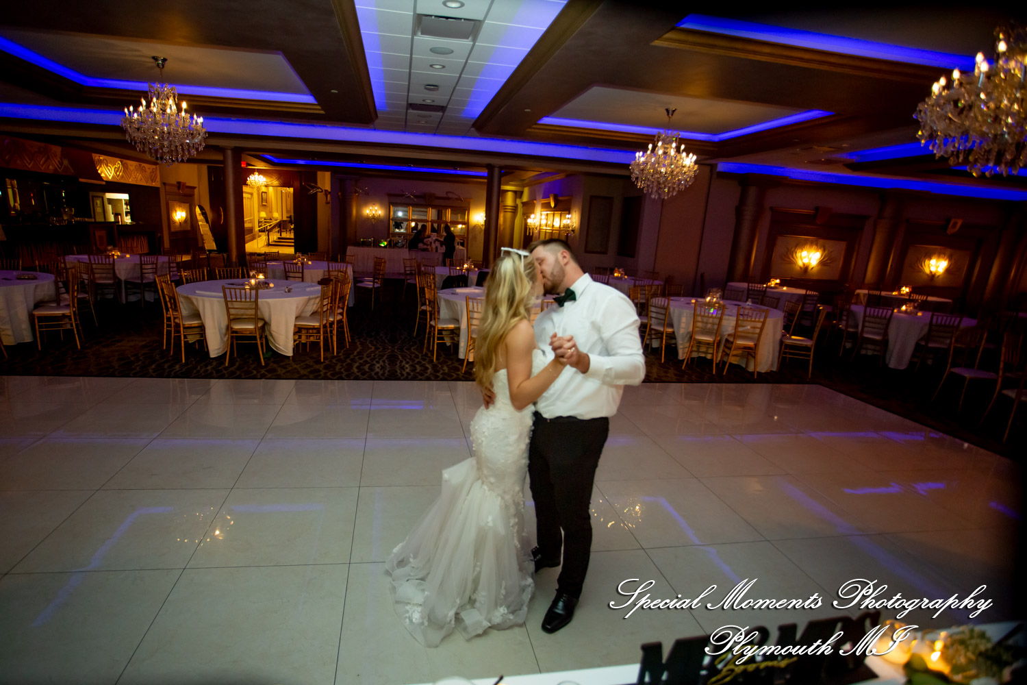 A Couple at Bentley Banquet Conference Center Wyandotte MI wedding photography
