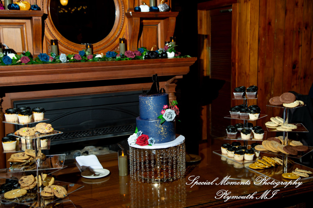 Chloe & Daniel at Wellers Carriage House Saline MI wedding photography