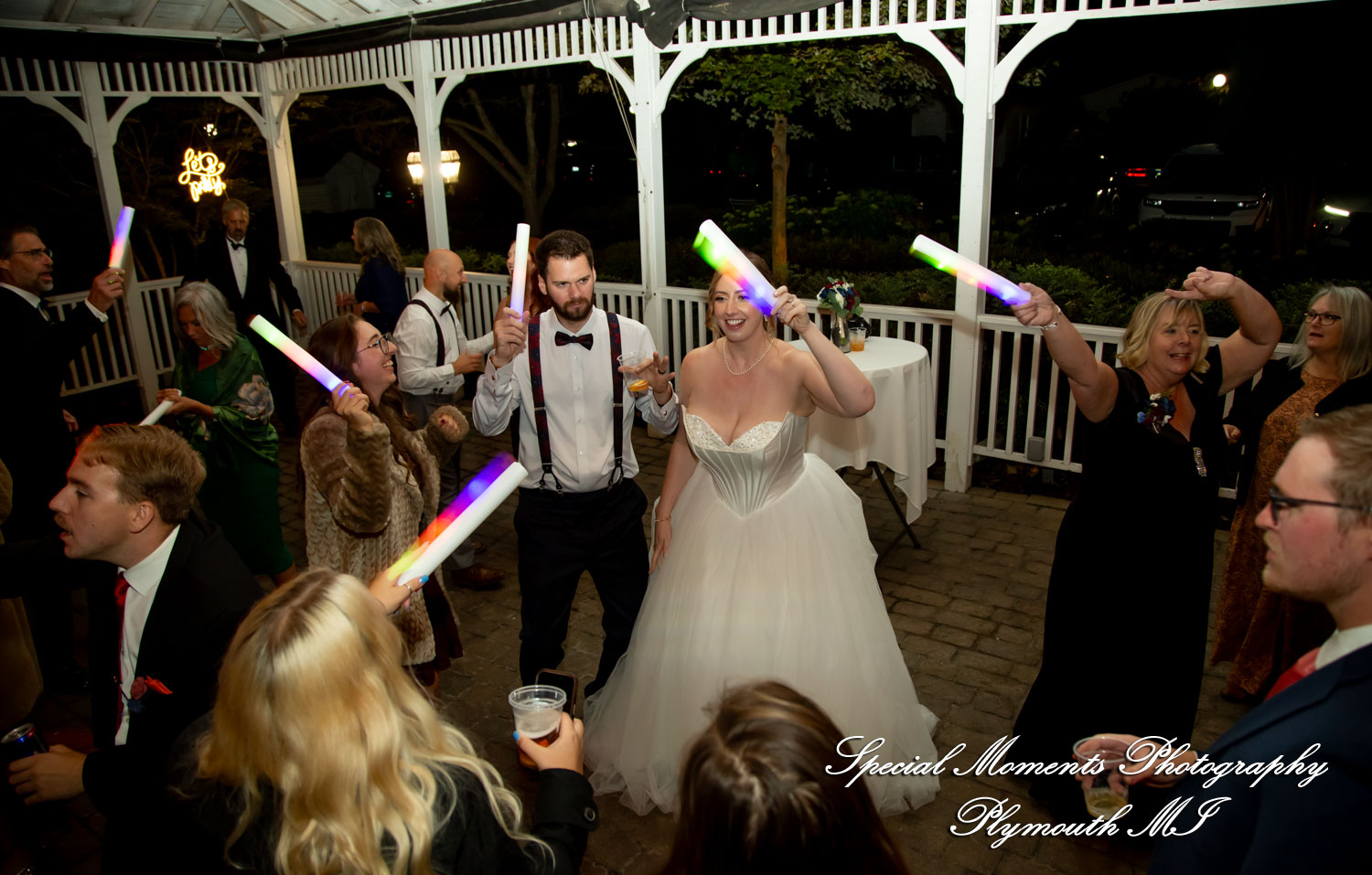 Chloe & Daniel at Wellers Carriage House Saline MI wedding photography