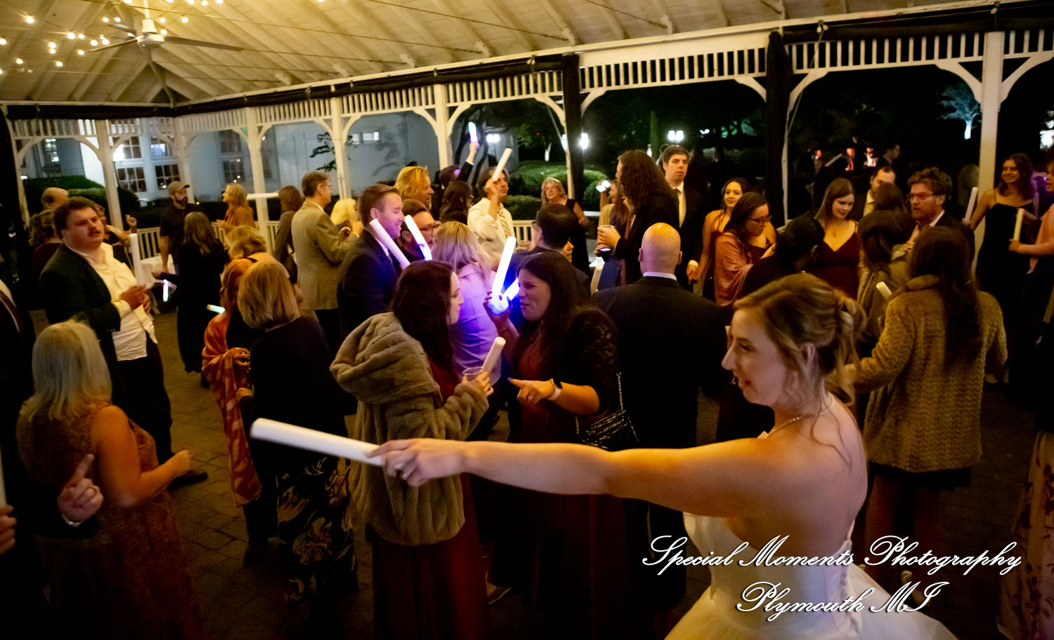 Chloe & Daniel at Wellers Carriage House Saline MI wedding photography