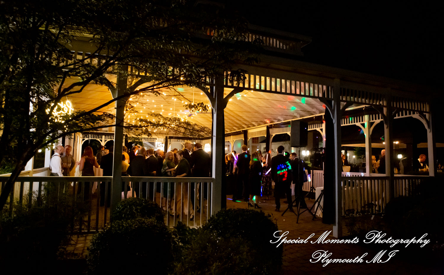 Chloe & Daniel at Wellers Carriage House Saline MI wedding photography