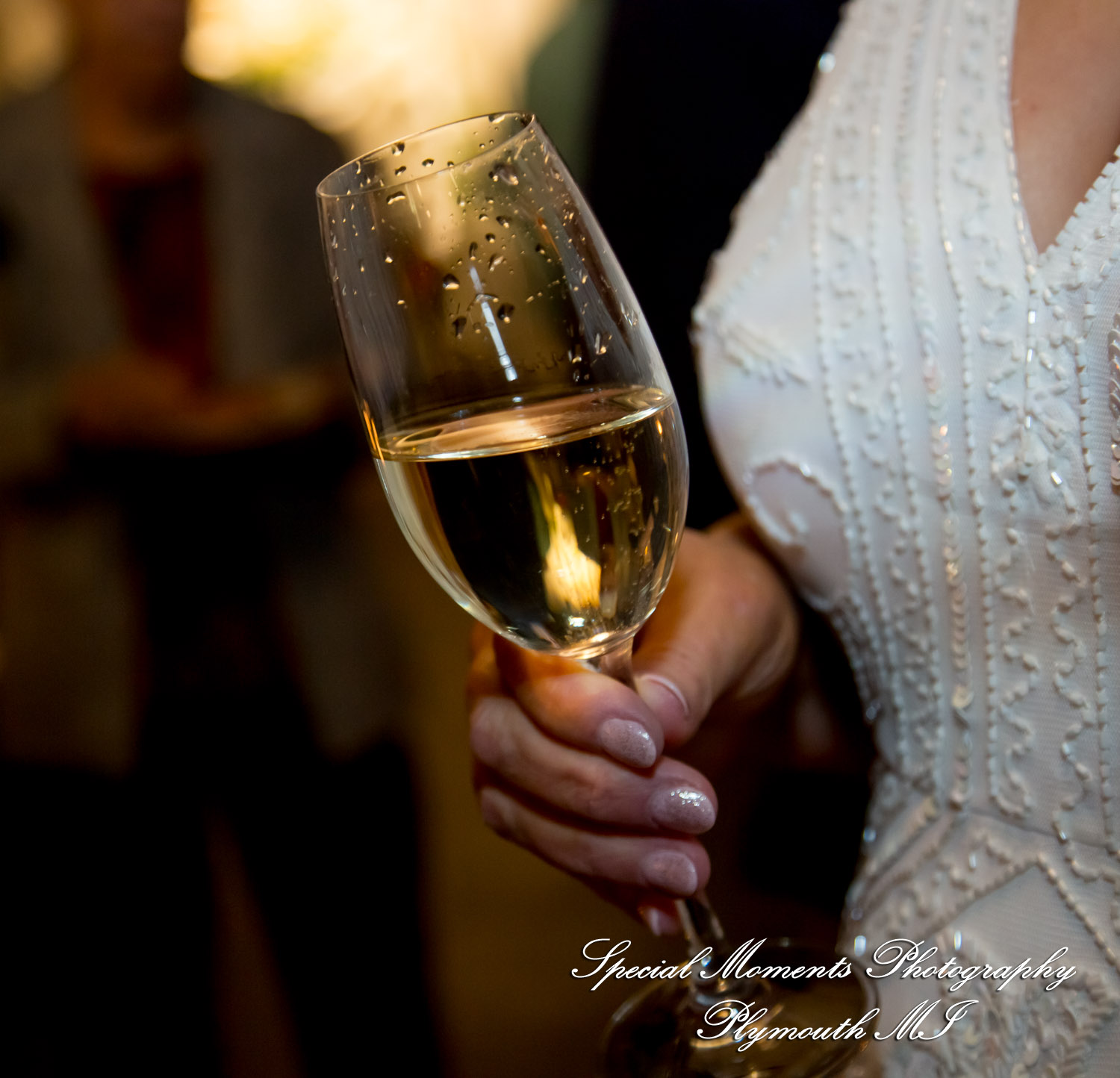 Kathy & Matt Vinology Restaurant & Event Space Ann Arbor MI wedding photography