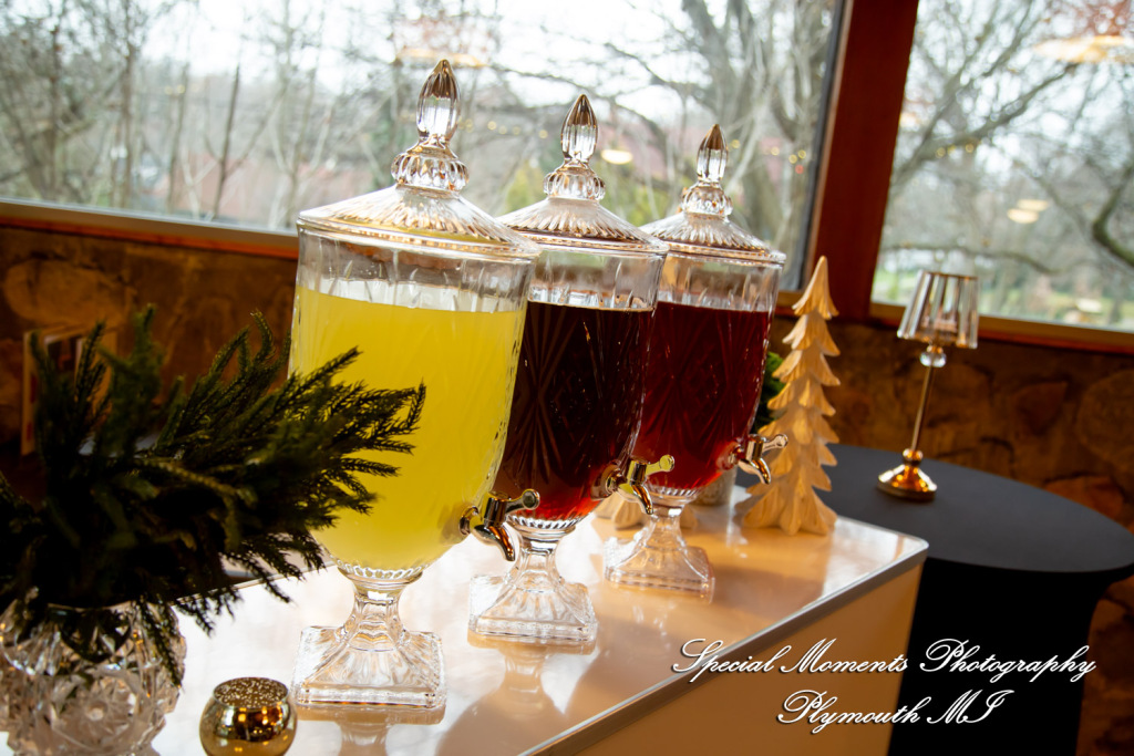 Faiza & Ian at Stone Chalet Bed and Breakfast Inn Ann Arbor MI wedding photograph