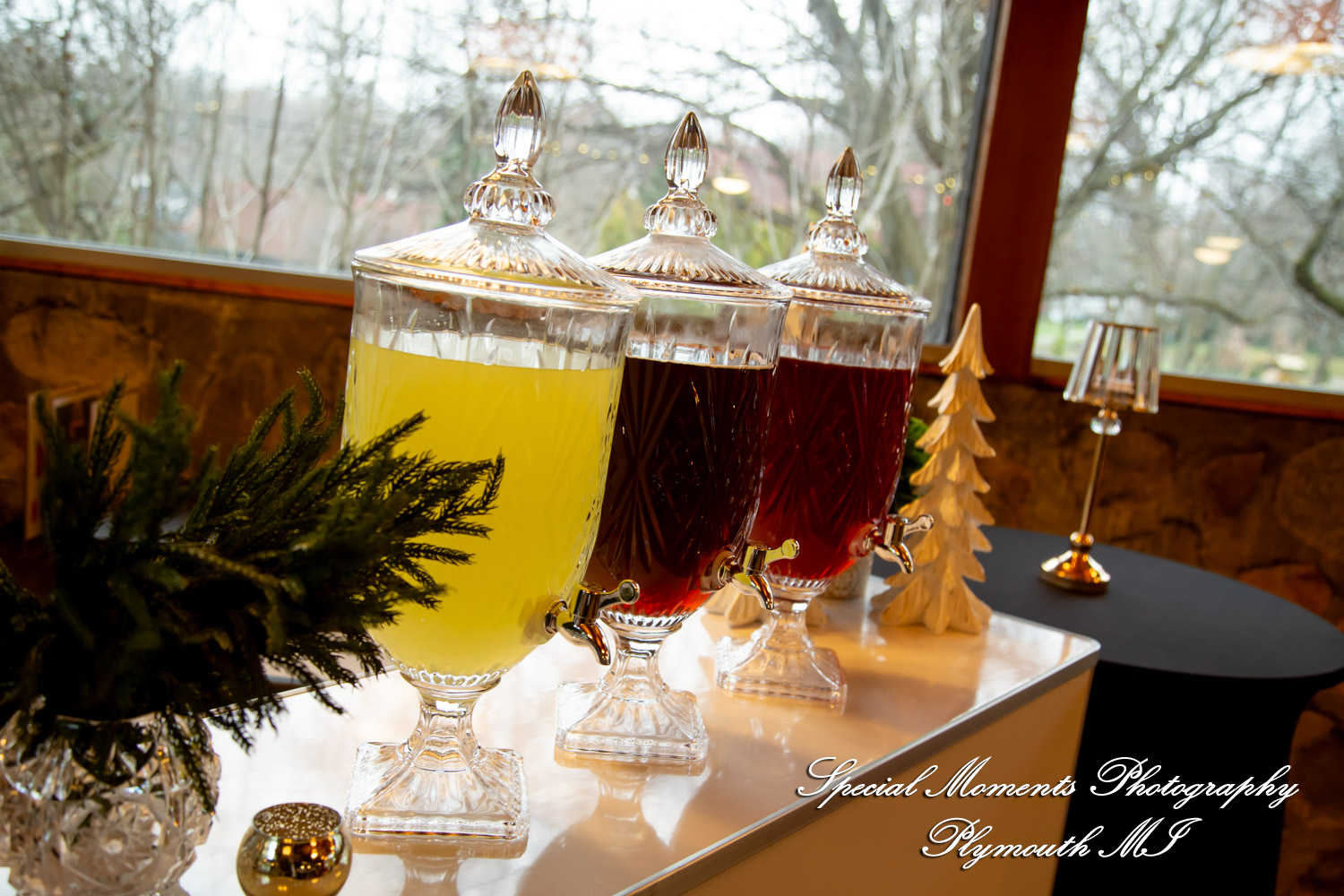 Faiza & Ian at Stone Chalet Bed and Breakfast Inn Ann Arbor MI wedding photograph