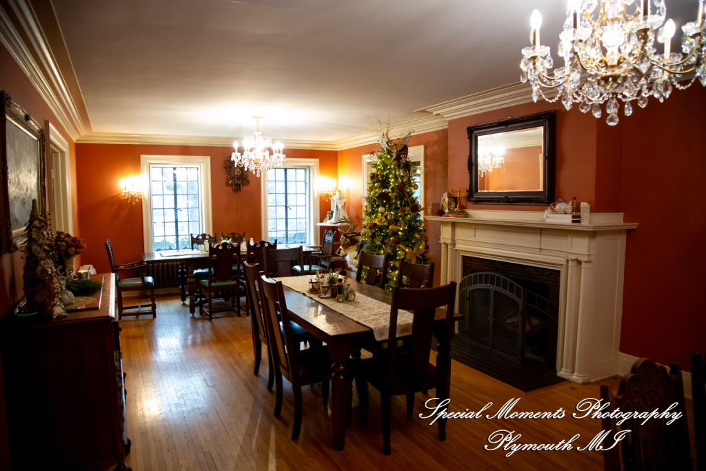 Faiza & Ian at Stone Chalet Bed and Breakfast Inn Ann Arbor MI wedding photograph