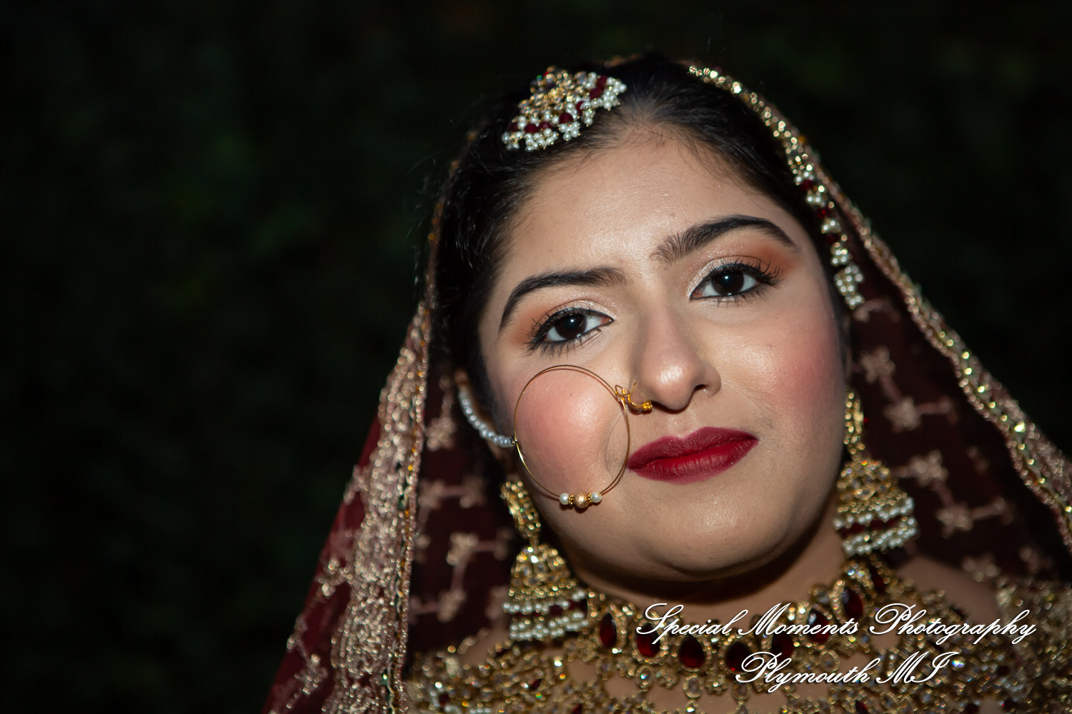 Faiza & Ian at Stone Chalet Bed and Breakfast Inn Ann Arbor MI wedding photograph