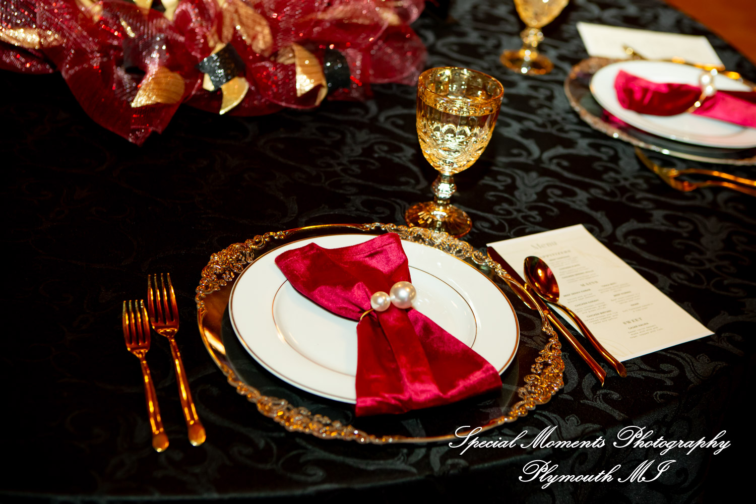 Faiza & Ian at Stone Chalet Bed and Breakfast Inn Ann Arbor MI wedding photograph