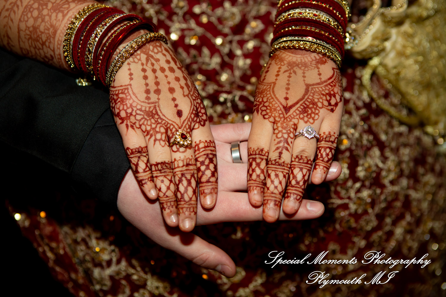 Faiza & Ian at Stone Chalet Bed and Breakfast Inn Ann Arbor MI wedding photograph