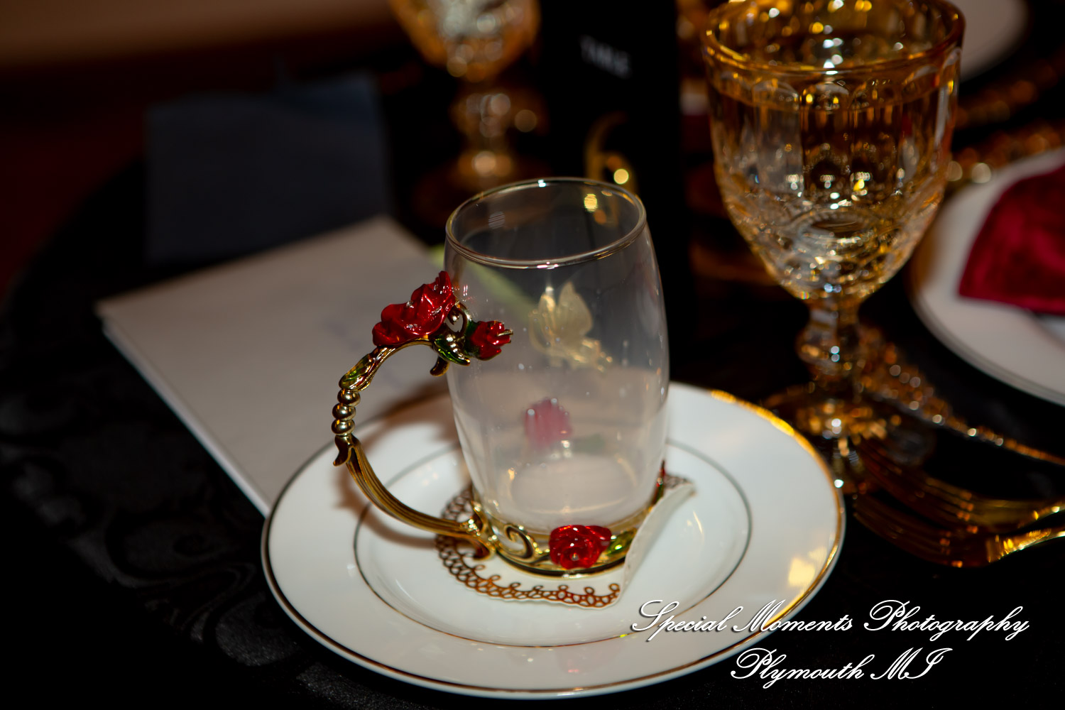 Faiza & Ian at Stone Chalet Bed and Breakfast Inn Ann Arbor MI wedding photograph