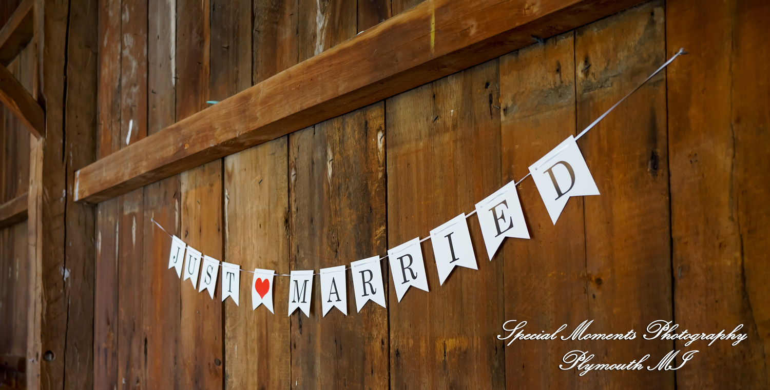 Melissa & Eric at MSU Tollgate Farm & Education Center Novi MI wedding photography