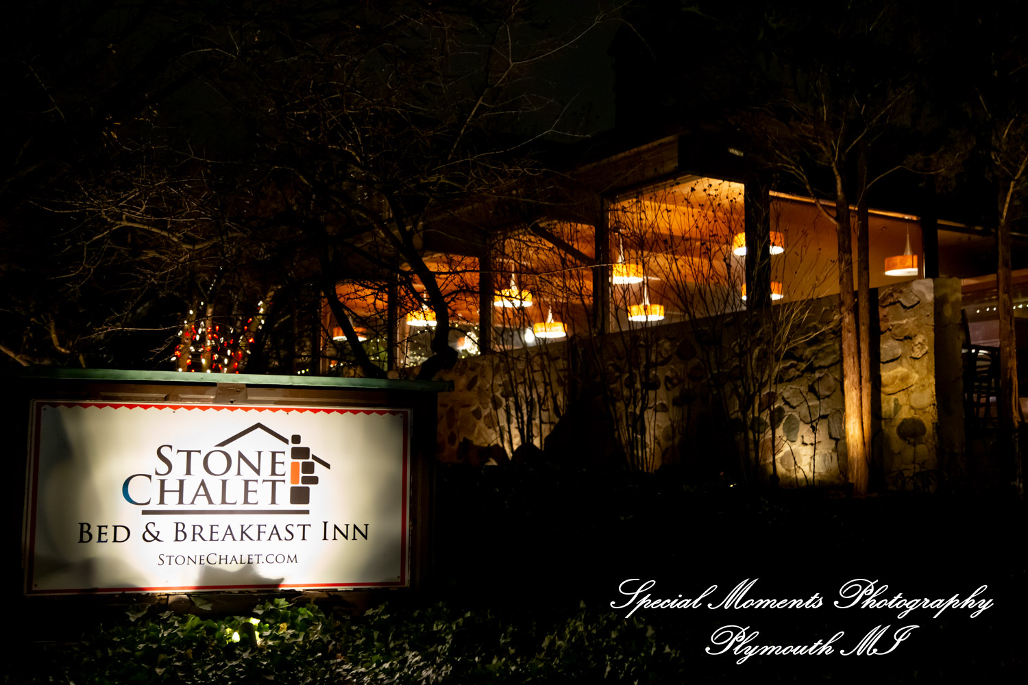 Faiza & Ian at Stone Chalet Bed and Breakfast Inn Ann Arbor MI wedding photograph