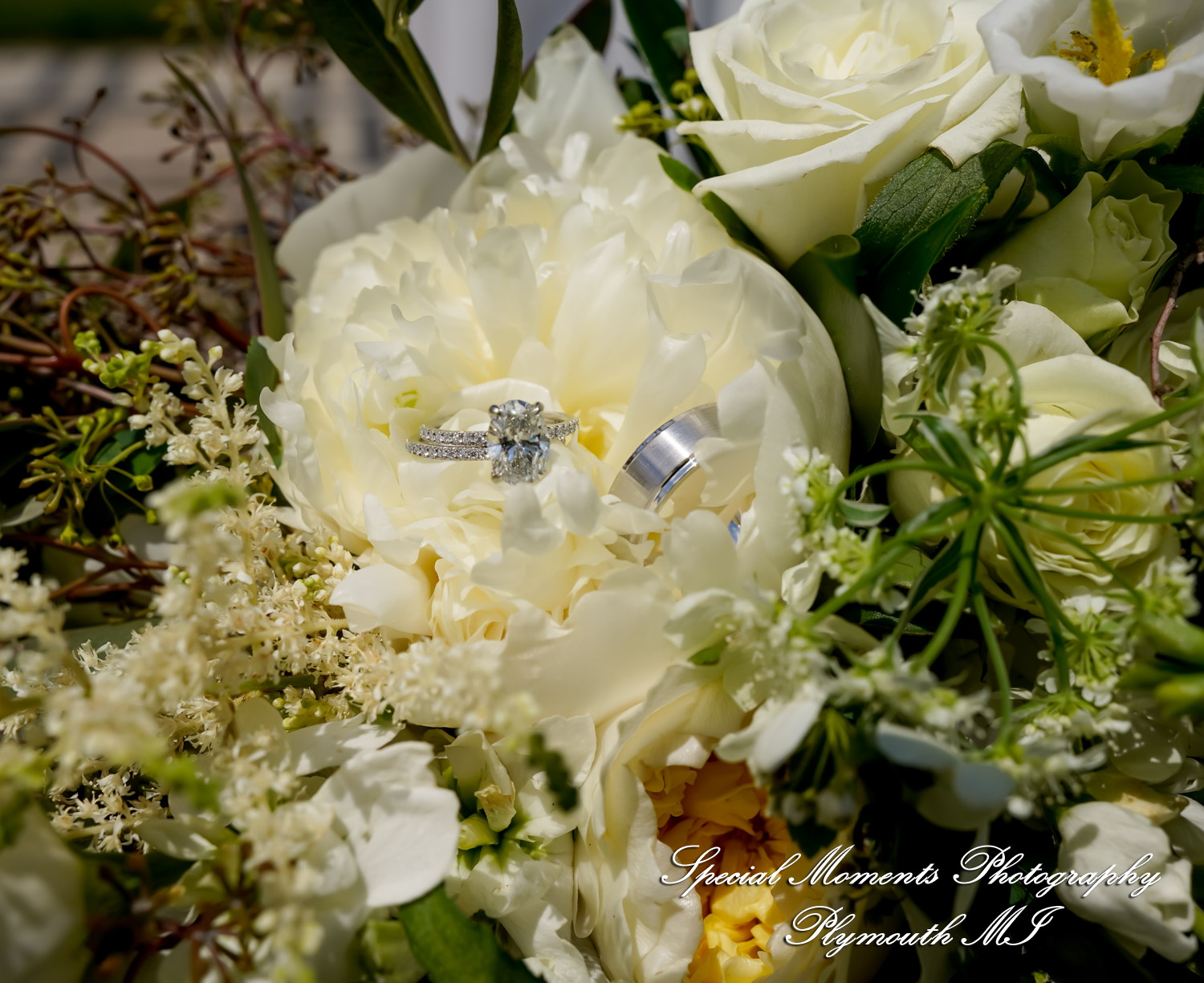 Melissa & Eric at MSU Tollgate Farm & Education Center Novi MI wedding photography