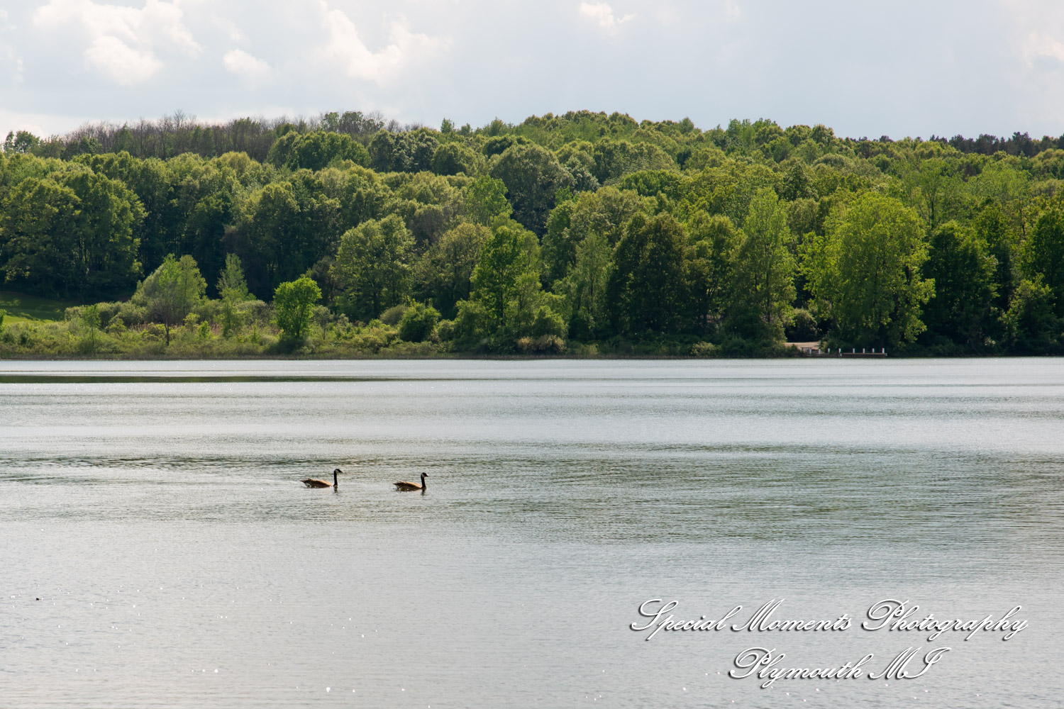 Christina & Jeffrey at Waldenwoods Wedding Venue Howell MI wedding photography