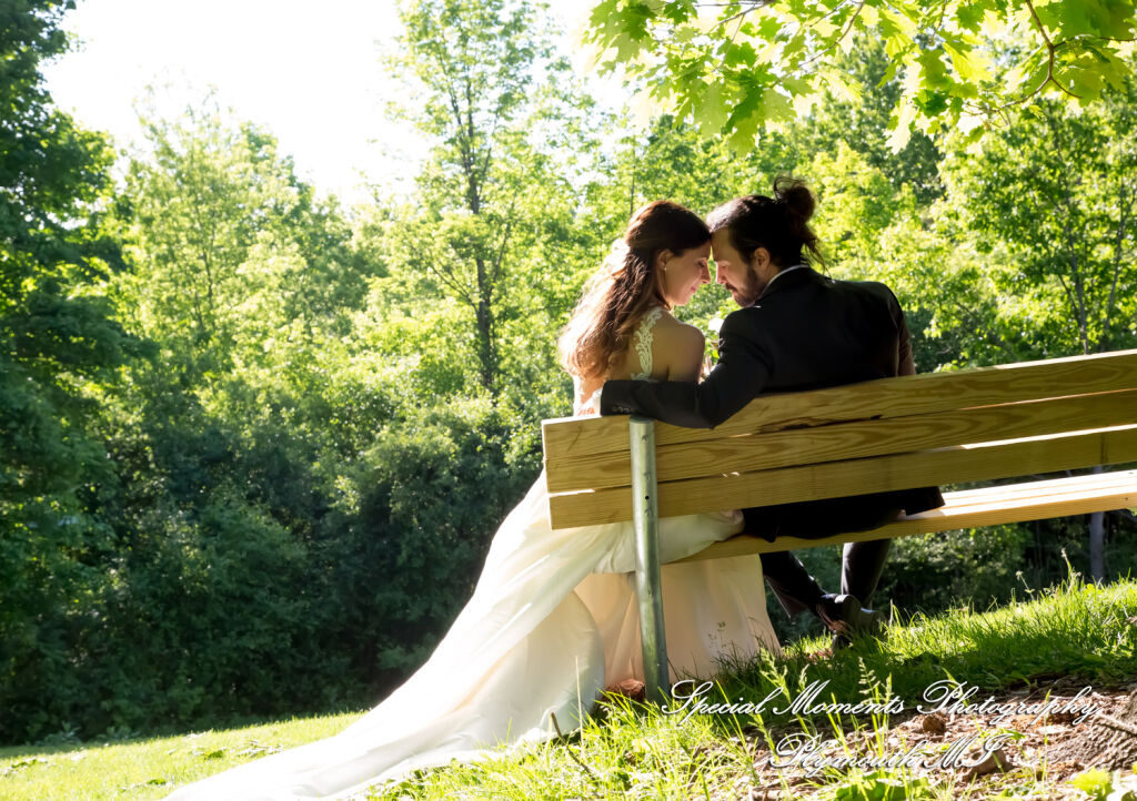 Leah & Bruno at Heritage Park Farmington Hills MI wedding photography