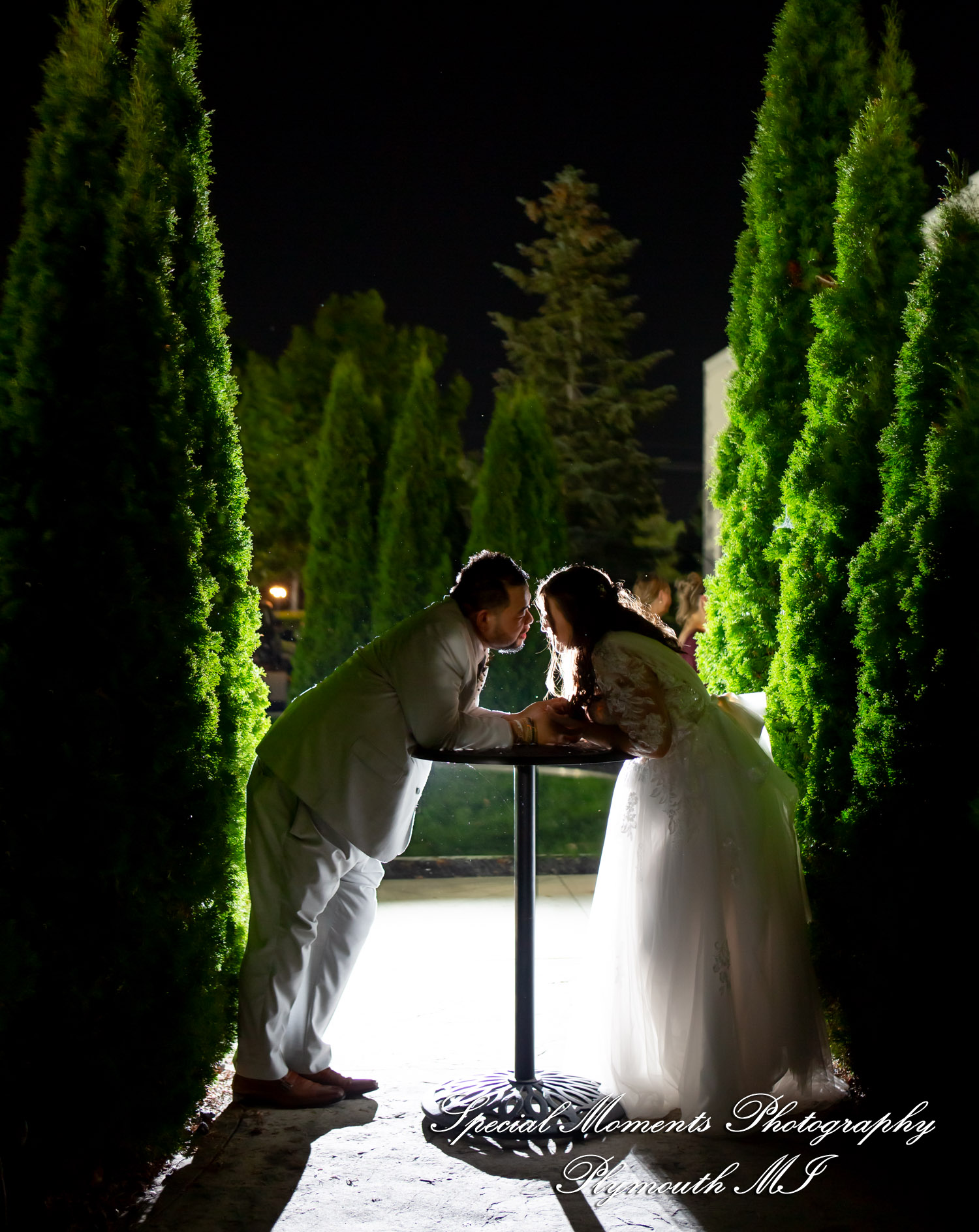 Gina & Jimmy at Macedonian Cultural Center Sterling Hts MI wedding photography