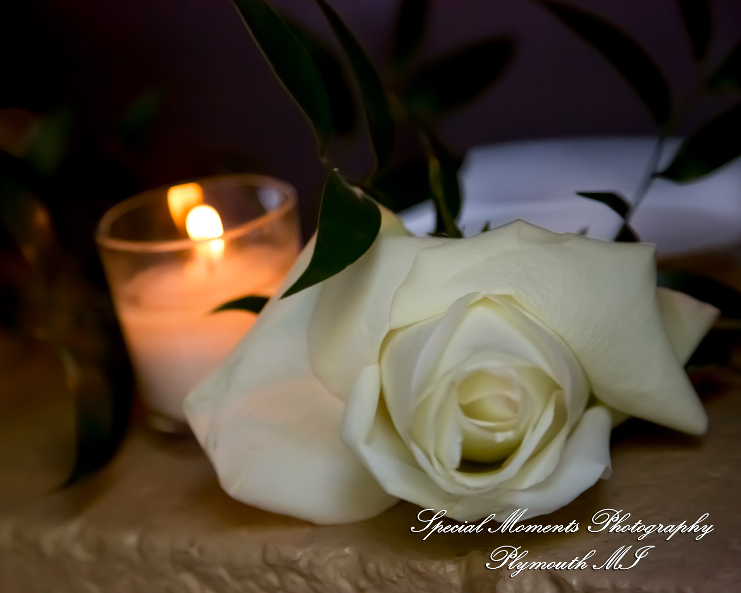 Leah & Bruno at Cafe Cortina Farmington Hills MI wedding photography